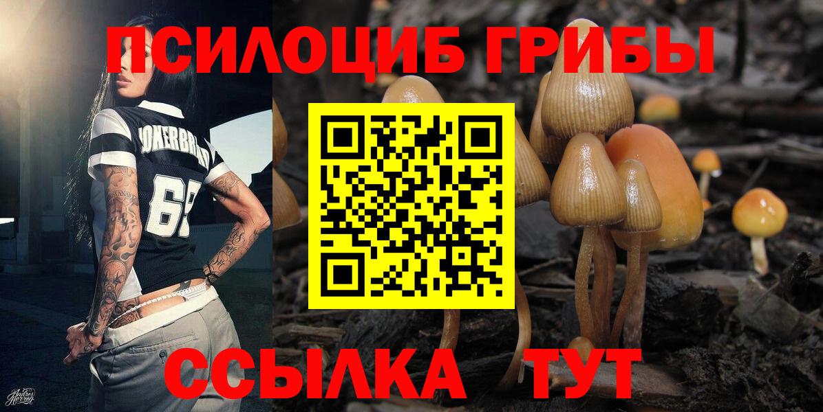 Волжский  Псилоцибиновые грибы MAGIC MUSHROOMS  Вход с VPN 